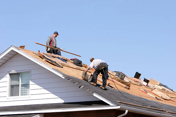 Trusted Northdale, FL Roofing and repair Experts